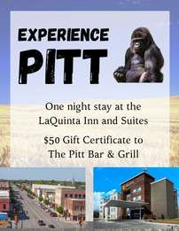 Experience Pitt